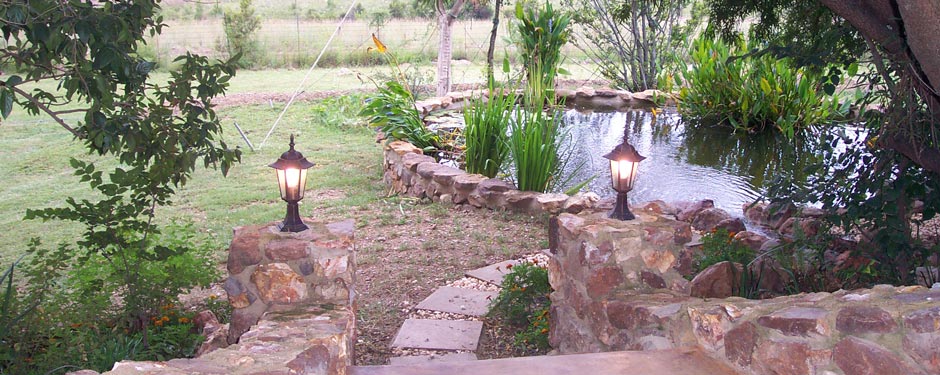 Stone steps and lantern-lit garden by a lily pond