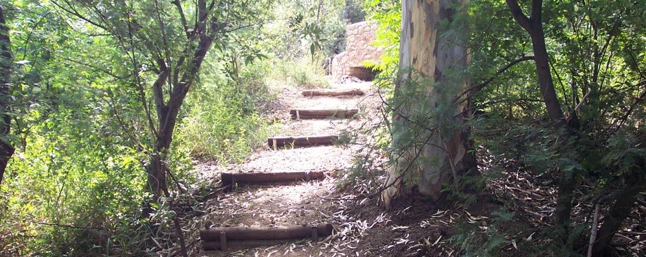 A quiet stone pathway winding into the indigenous bush