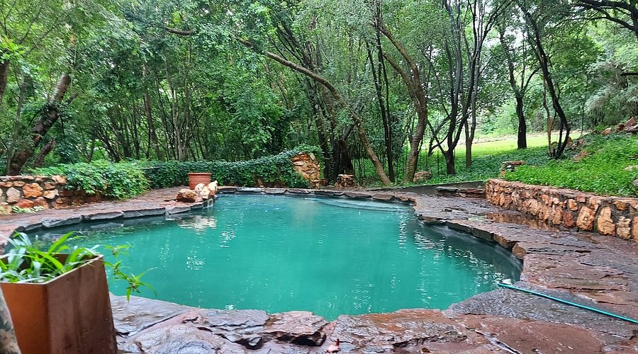 Natural rock pool surrounded by indigenous bush